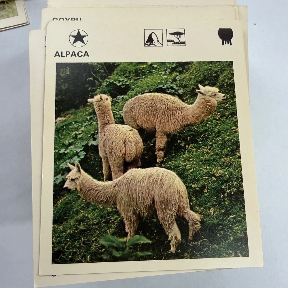 Vintage Illustrated Wildlife Treasury Green Case and Animal Fact Card Collection